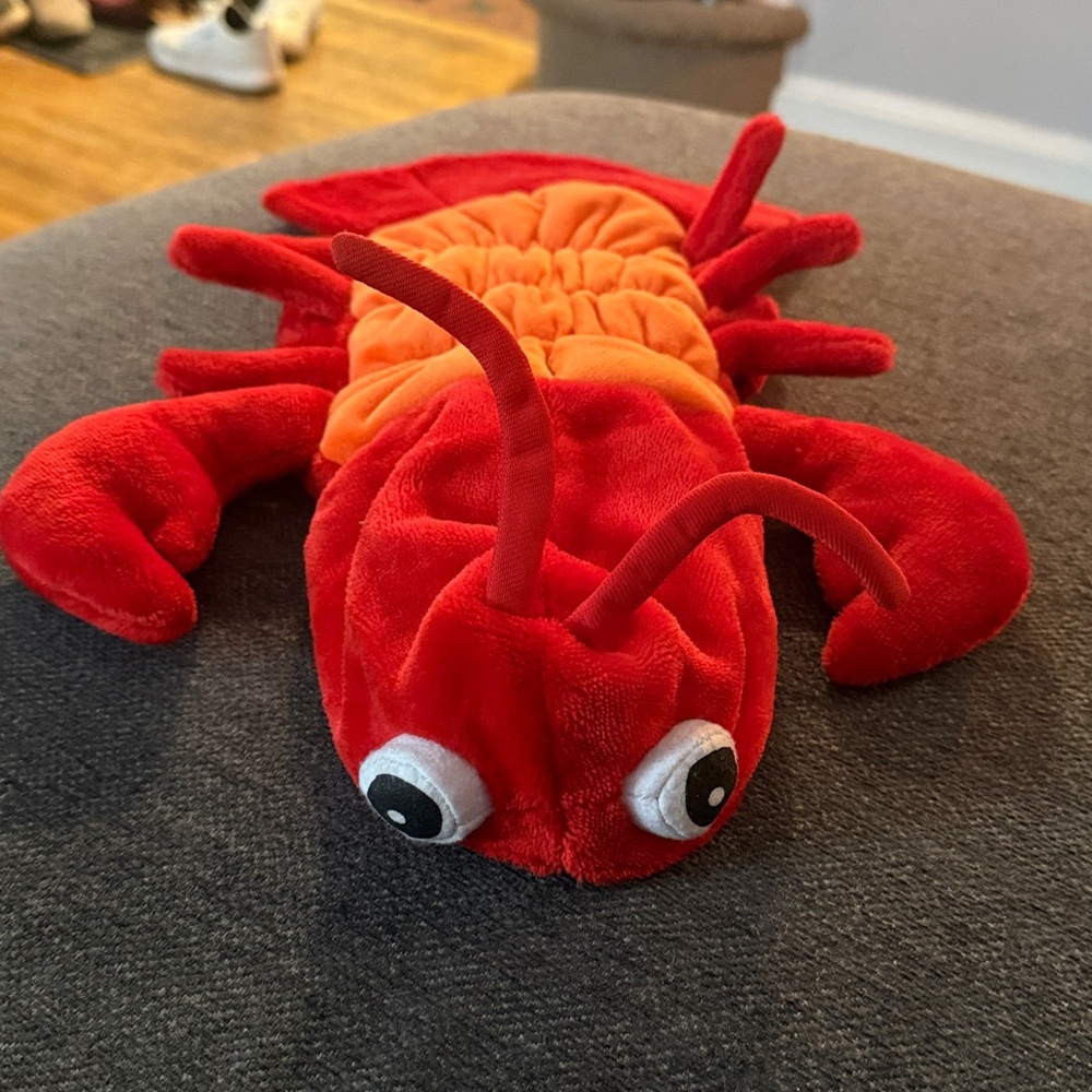 Lobster or shrimp pet costume